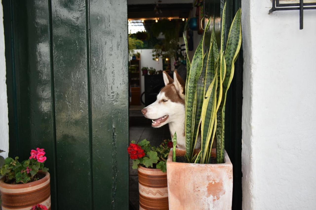 La Casa de Chavela Villa de Leyva Exterior foto